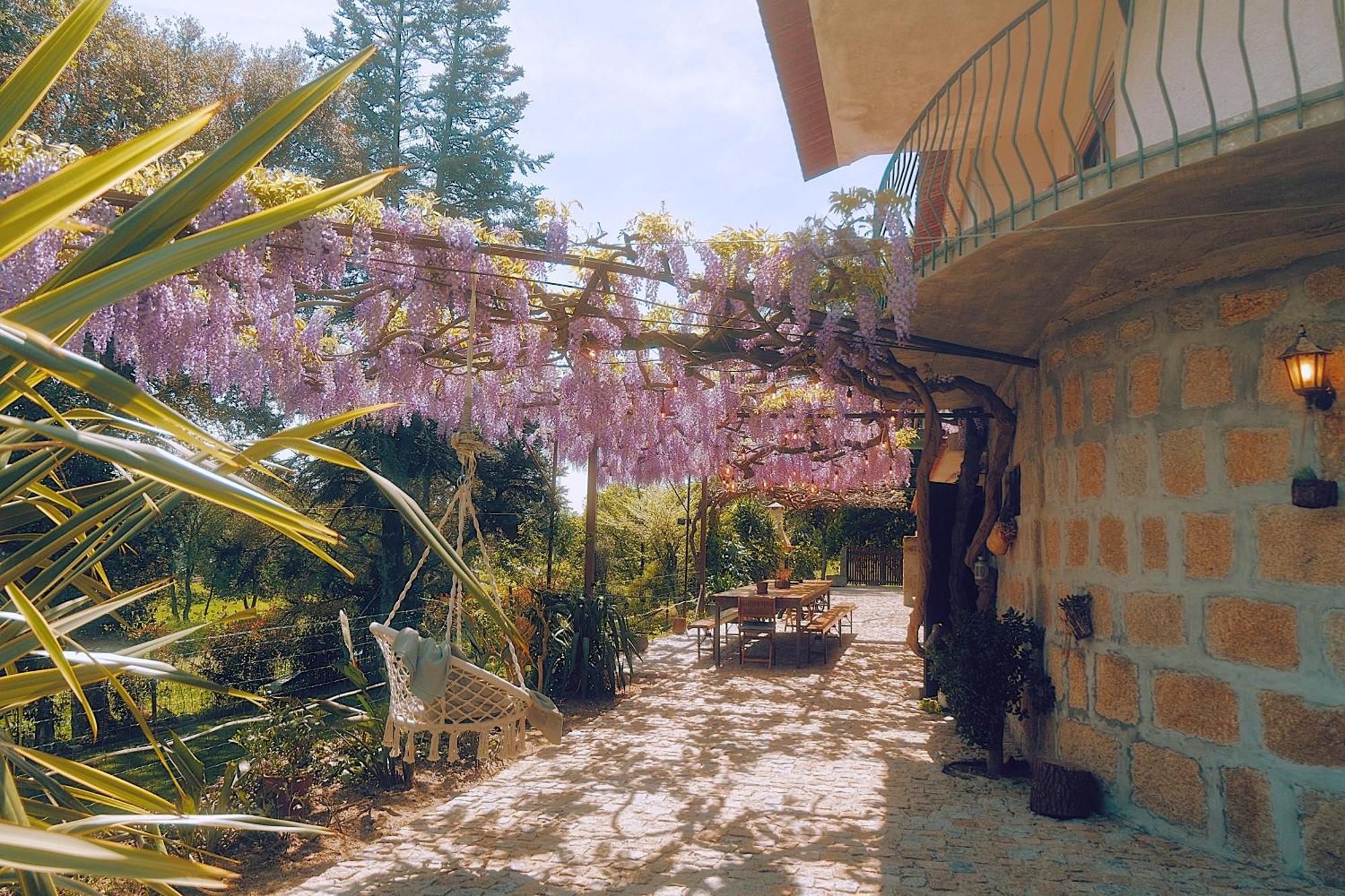 Casa Da Alvarinha Privacidade Conforto Natureza Paredes  Exterior foto